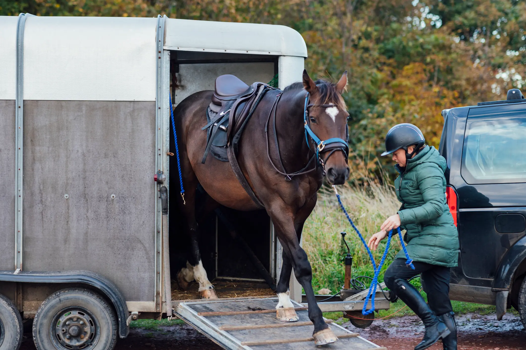 Reiterin führt Pferd aus Anhänger – Symbolbild für Anhängerversicherung bei Tiertransport und Absicherung im Alltag