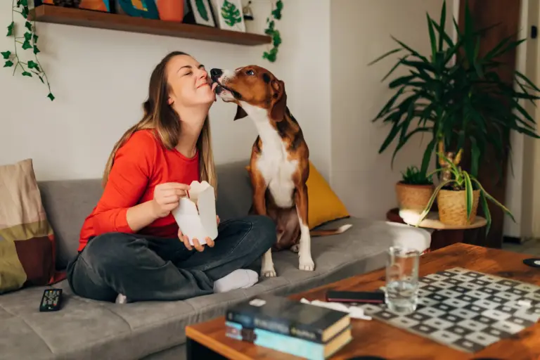 Junge Frau sitzt lachend mit ihrem Hund auf dem Sofa und wird abgeschleckt – Freude und Nähe nach der Anschaffung eines Haustiers