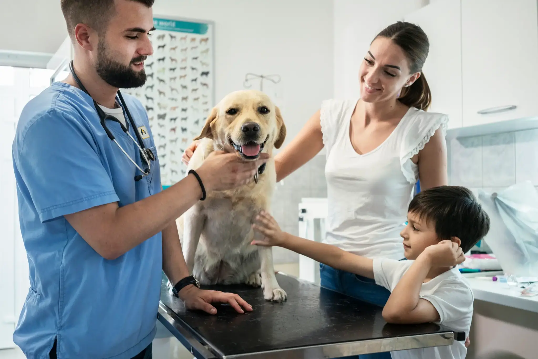 Hundekrankenversicherung | Hundekrankenversicherung