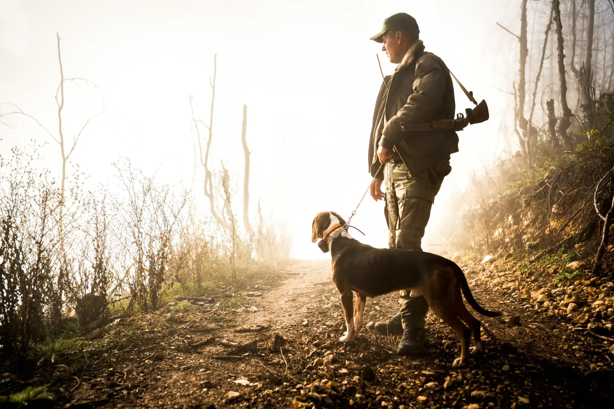 Jäger steht mit Jagdhund auf nebligem Waldweg, das Gewehr über der Schulter, kahle Bäume und herbstliche Atmosphäre im Hintergrund