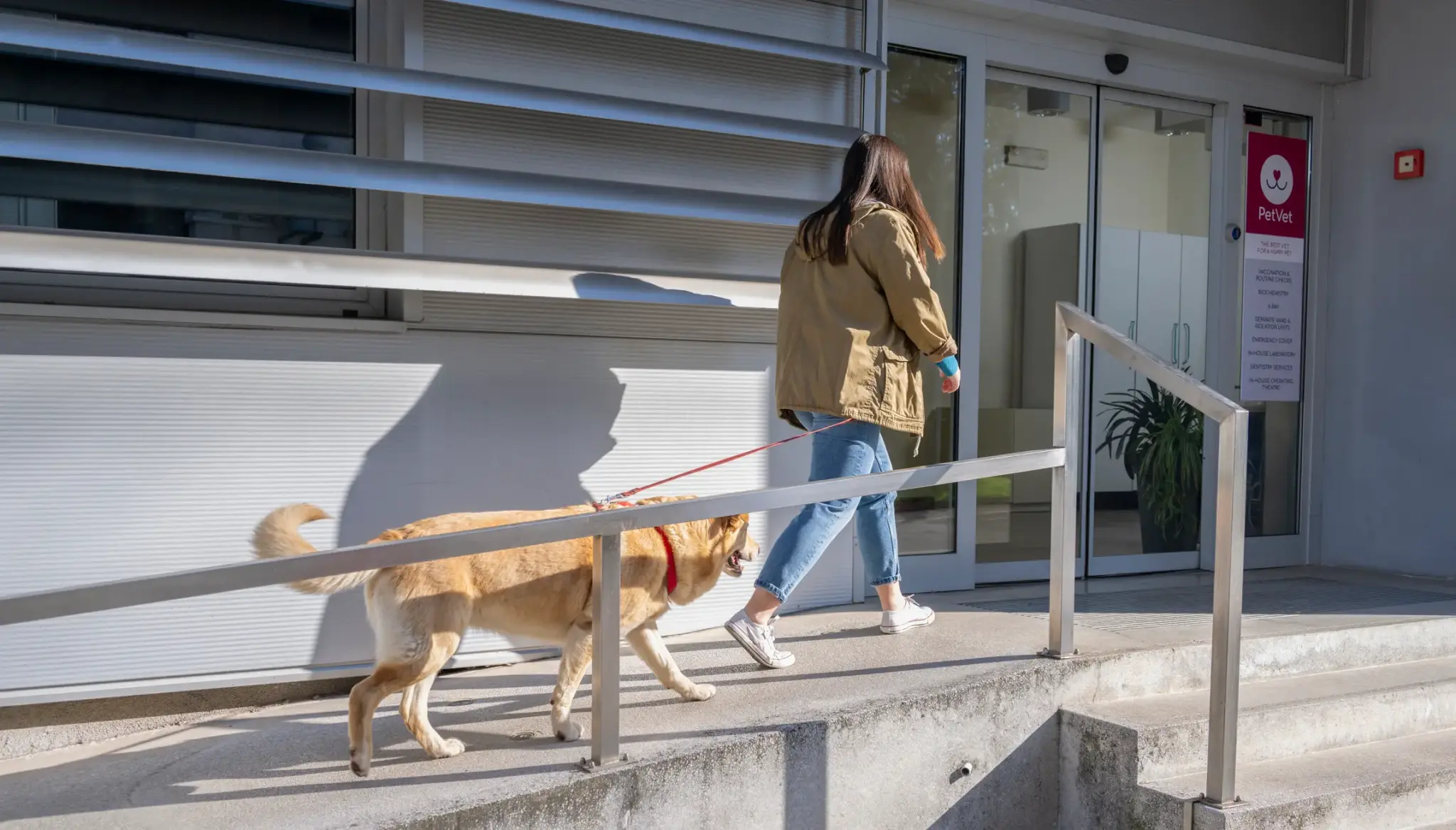 Frau geht mit ihrem Hund an der Leine in eine Tierarztpraxis – Symbolbild für Tierarztbesuche und die Gebührenordnung für Tierärzte (GOT).