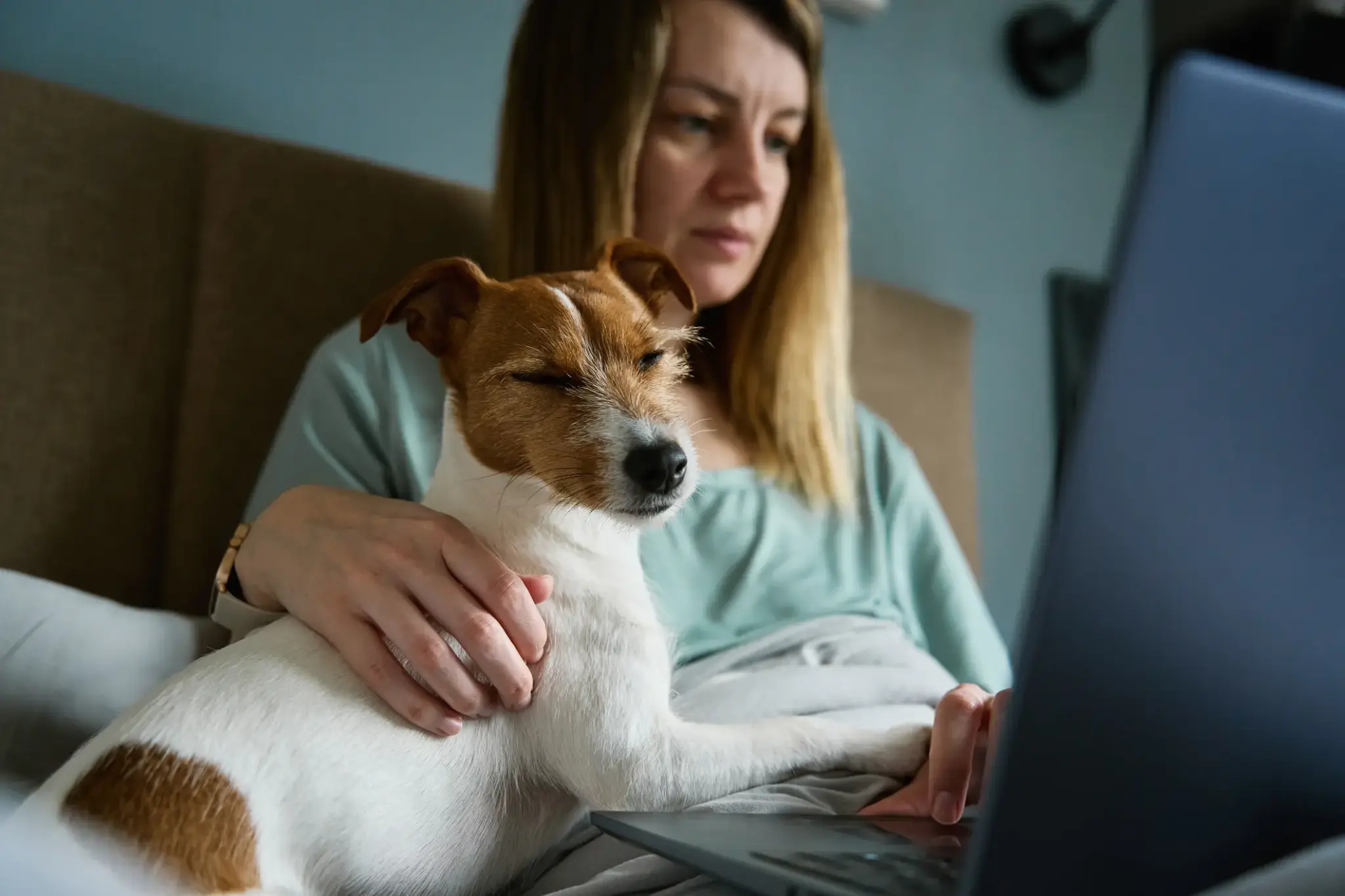 Hundekrankenversicherung nicht empfehlenswerte Anbieter