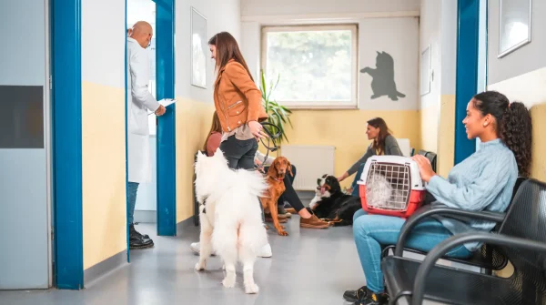 Mehrere Tierhalter mit Hunden und Katze im Wartezimmer einer Tierarztpraxis – der Alltag vor einer tierärztlichen Behandlung.