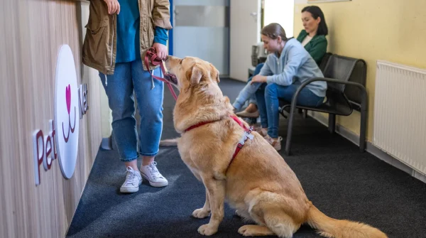 Hund sitzt vor dem Tresen in einer Tierarztpraxis, während Halterin wartet – Kostenfaktor Tierarztbesuch für Hunde.